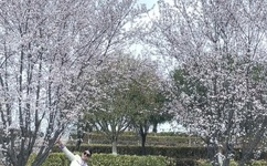 新金瓶梅3d 百度影音